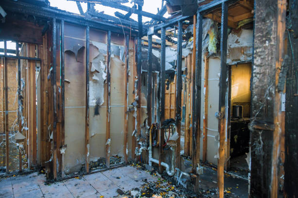 Professional Smoke Damage Removal technician working in Clear Lake, MN